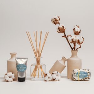Coffret Flor de Algodão 1 2235 CB Cotton Flower Coffret diffuser soap handcream